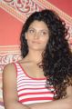 Actress Saiyami Kher @ Rey A to Z Look Launch Photos