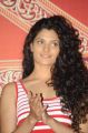 Actress Saiyami Kher @ Rey A to Z Look Launch Photos