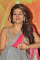 Actress Shraddha Das @ Rey Feeler Launch Function Photos