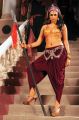 Actress Shraddha Das in Rey Telugu Movie Stills