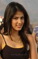 Telugu Actress Ria Chakravarthi in Brown Sleeveless Top Stills
