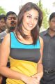 Richa Gangopadhyay at Discount Card Launch Stills