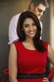 Telugu Actress Richa Gangopadhyay Pictures at Mirchi Success Meet