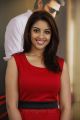 Telugu Actress Richa Gangopadhyay Pics at Mirchi Success Meet