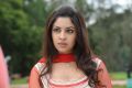 Sarocharu Heroine Richa Gangopadhyay Cute Wallpapers