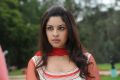 Actress Richa Gangopadhyay Cute Wallpapers in Sarocharu Movie