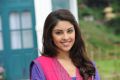 Sarocharu Actress Richa Gangopadhyay Cute Wallpapers