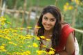 Actress Richa Gangopadhyay Cute Wallpapers in Sarocharu Movie