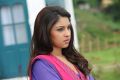 Telugu Actress Richa Gangopadhyay New Cute Wallpapers