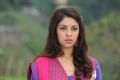 Sarocharu Actress Richa Gangopadhyay Cute Wallpapers