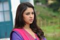 Actress Richa Gangopadhyay Cute Wallpapers in Sarocharu Movie