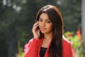 Sarocharu Heroine Richa Gangopadhyay Cute Wallpapers