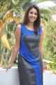Beautiful Actress Richa Gangopadhyay Hot Photos in Sleeveless Dress
