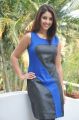 Beautiful Actress Richa Gangopadhyay Hot Photos in Sleeveless Dress