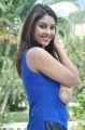 Actress Richa Gangopadhyay New Hot Photos in Blue Dress