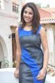 Actress Richa Gangopadhyay New Hot Photos in Blue Sleeveless Dress