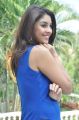 Actress Richa Gangopadhyay New Hot Photos in Blue Dress