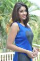 Actress Richa Gangopadhyay New Hot Photos in Sleeveless Blue Dress