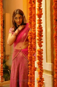 Tamil Actress Richa Gangopadhyay New Hot Saree Photos