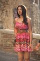 Actress Richa Gangopadhyay Hot Pics in Mirchi Movie