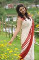 Sarocharu Actress Richa Gangopadhyay Hot Saree Photos