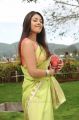 Actress Richa Gangopadhyay Saree Hot Photos in Sarocharu Movie