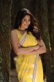 Telugu Actress Richa Gangopadhyay Hot Saree Photos