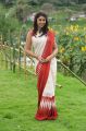 Actress Richa Gangopadhyay Saree Photos in Sarocharu Movie