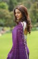 Sarocharu Actress Richa Gangopadhyay Hot in Saree Photos