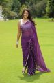 Sarocharu Actress Richa Gangopadhyay Hot Saree Photos
