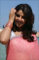 Actress Richa Gangopadhyay Hot Saree Photos in Sarocharu Movie