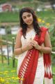 Sarocharu Movie Actress Richa Gangopadhyay Saree Photos