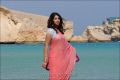 Actress Richa Gangopadhyay Latest Hot Saree Photos