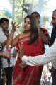 Richa Gangopadhyay launches Priyanka Showroom @ Kukatpally, Hyderabad