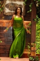 Richa Gangopadhyay Hot Saree Mirapakaya Movie Stills