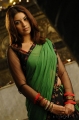 Richa Gangopadhyay Hot Saree Mirapakaya Movie Stills