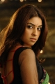 Richa Gangopadhyay Hot Saree Mirapakaya Movie Stills