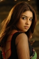 Richa Gangopadhyay Hot Saree Mirapakaya Movie Stills