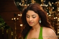 Richa Gangopadhyay Hot Saree Mirapakaya Movie Stills