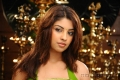 Richa Gangopadhyay Hot Saree Mirapakaya Movie Stills