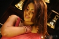 Richa Gangopadhyay Hot Saree Mirapakaya Movie Stills