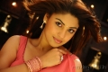 Richa Gangopadhyay Hot Saree Mirapakaya Movie Stills