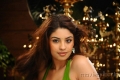 Richa Gangopadhyay Hot Saree Mirapakaya Movie Stills