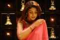 Richa Gangopadhyay Hot Saree Mirapakaya Movie Stills