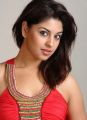 Actress Richa Gangopadhyay New Hot Photos Gallery