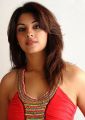 Actress Richa Gangopadhyay New Hot Gallery