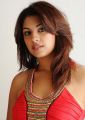 Telugu Actress Richa Gangopadhyay New Hot Photos