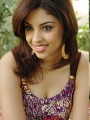 Richa Gangopadhyay New Hot Photos Pics Gallery