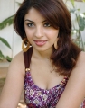 Richa Gangopadhyay New Hot Photos Pics Gallery