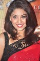 Richa Gangopadhyay Hot Saree Stills